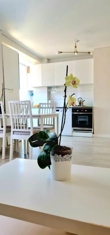 Cozy Modren Apartment On Malvarrosa Beach Valensiya Dış mekan fotoğraf